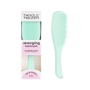 Расческа Tangle Teezer The Ultimate (Wet) Detangler Fine & Fragile Sea Spray Green